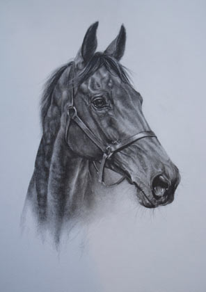 equestrian Art