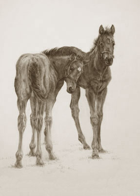 Newmarket Spring II, Collette Hoefkens equestrian and wildlife art.
