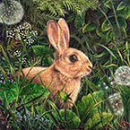 Wildlife and Equestrian Art, Watercolours, Collette Hoefkens, Neo Romantic