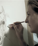 Equestrian Artist Collette Hoefkens Equestrian and Wildlife Artist. Traditional studies and Neoromantic. Oil, watercolour and pencil and charcoal. 